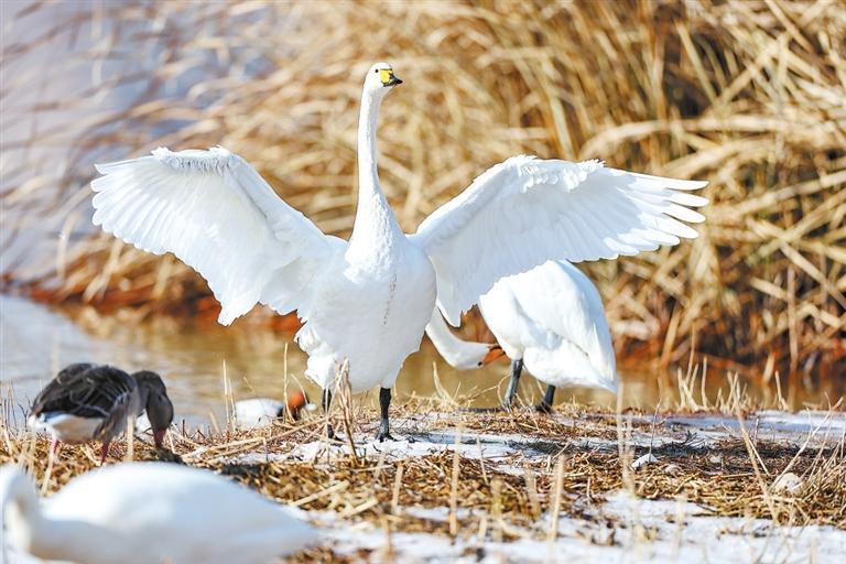 �������ﴨ�����ӿ����̲��Խ�������½���ִ �¸��ࡤ�����ձ����� ���ֿ�