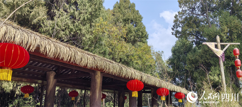 ϲ�������������������Ƹ����������������� ��������