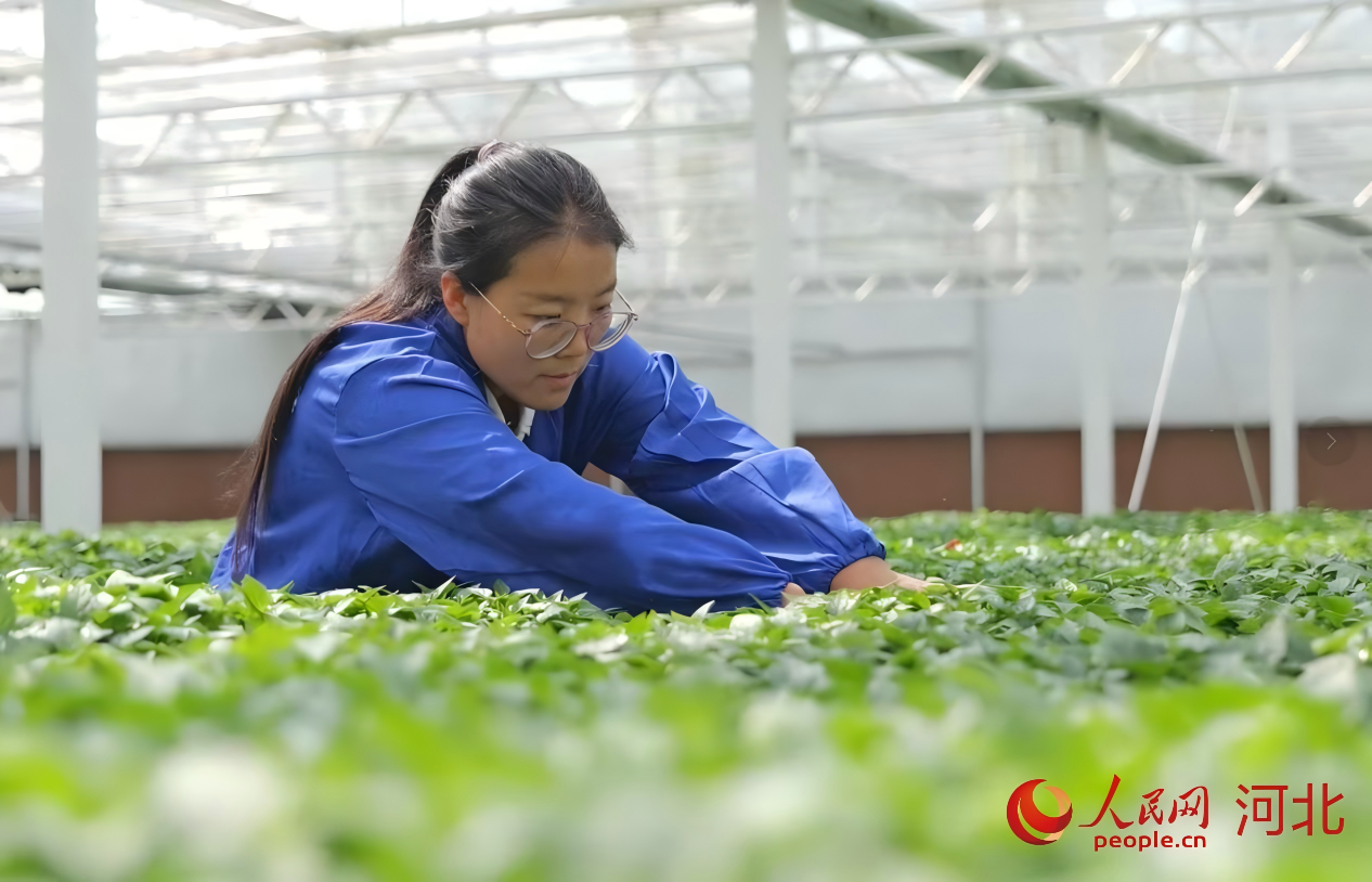 ��ɯɯ�ڴ����ڲ鿴����ĳ������������������ ��ͯ��