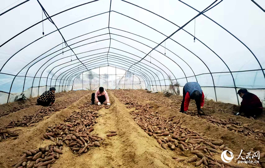 �������ֺ������硣������ ��ɯ��