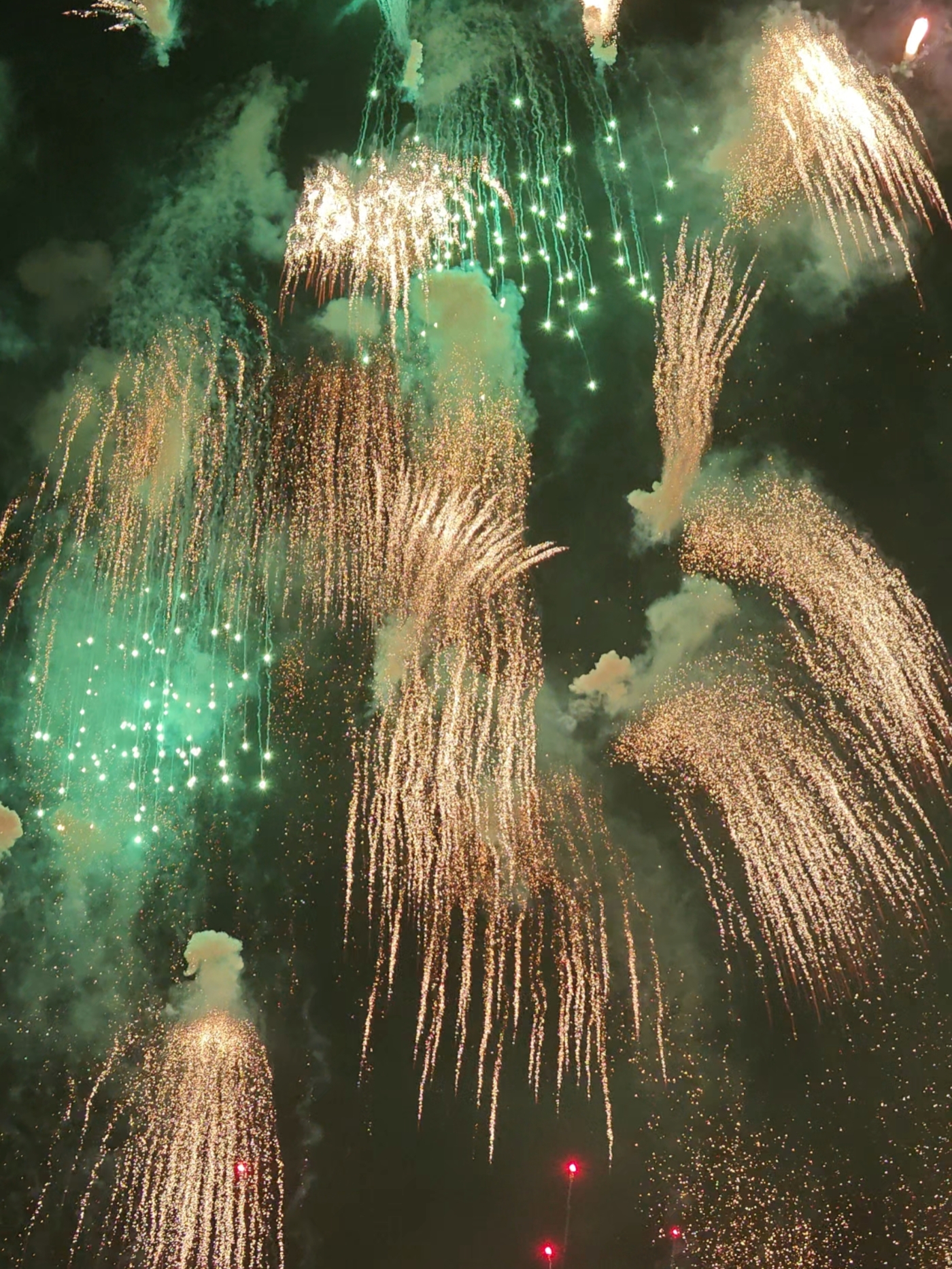 烟花汇演现场,焰舞金春。人民网记者 王雅蝶摄