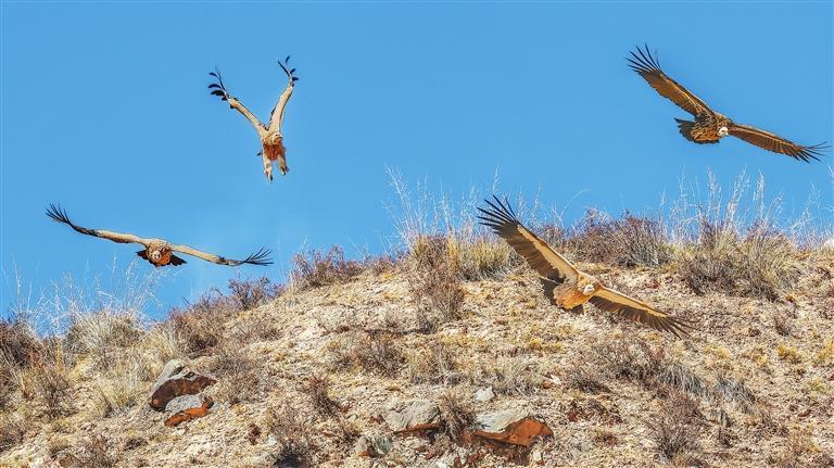 ͺ�հ�����ա� �¸��ࡤ�����ձ����� ʢѧ��