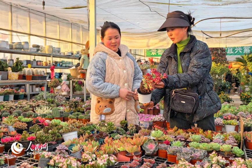 ���������ң�Ϊ�˿ͽ��ܶ������༼�ɡ������� ��������