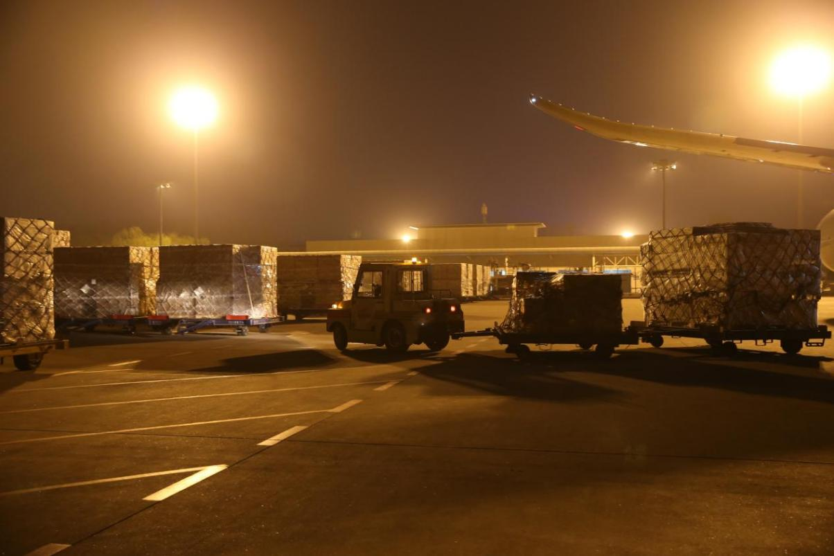 ҹĻ�µĻ�������һƬ��æ�������