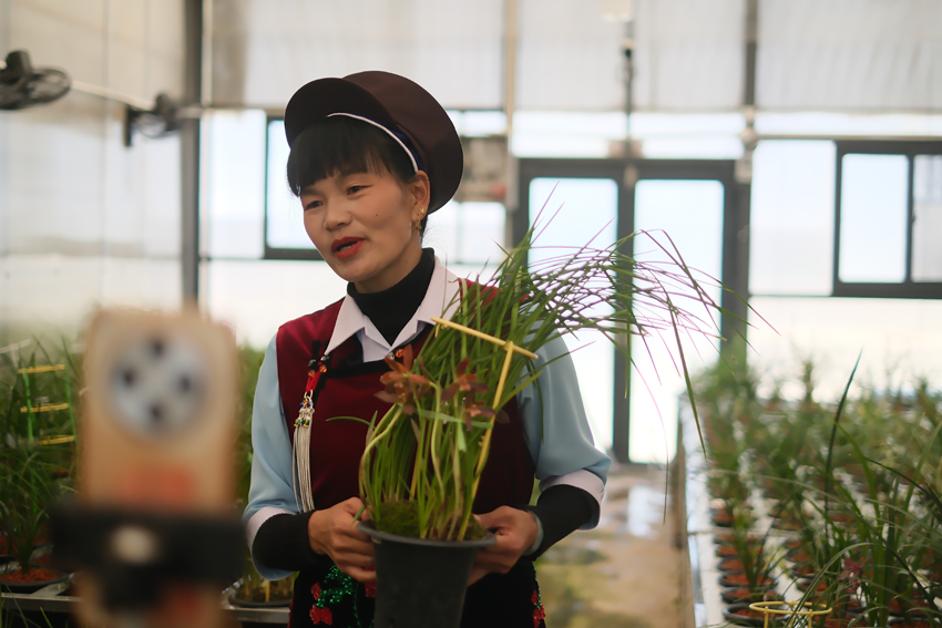 �����ڼ䣬�������Ű�����θ�ֱ����������ǽ�������������������-���ǻ���