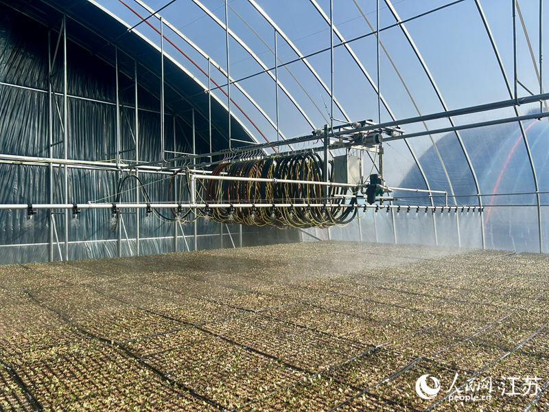 �߲˴������Զ���ˮ��ʩ������������ ��������