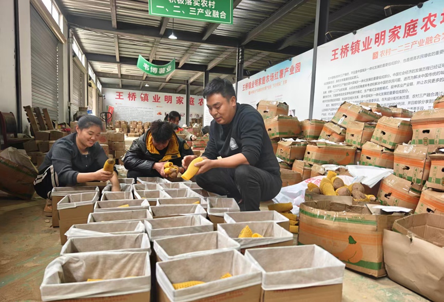 Τ��ͨ���������ۺ�������������