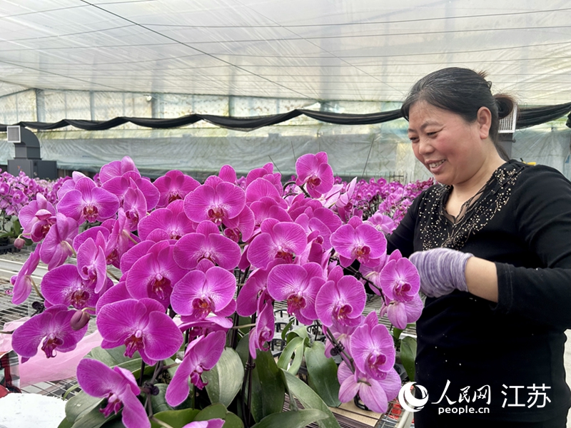 �����ܴ�˫æ�Ŵ�������������� ��������